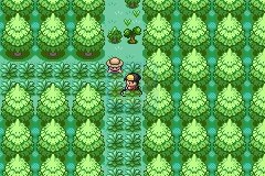 口袋妖怪 水晶之尘（美版）