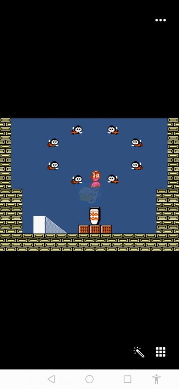 超级马里奥2HACK 阿木一坑版（英文版）