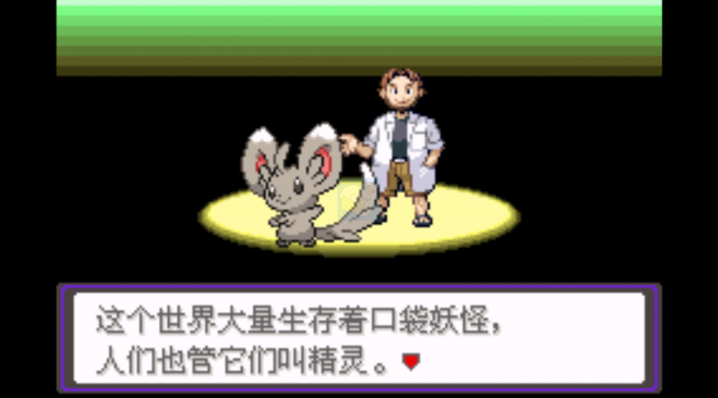 口袋妖怪 漆黑的魅影无经验版（中文版）