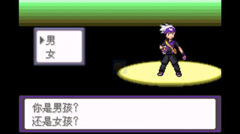 口袋妖怪 漆黑的魅影无经验版（中文版）