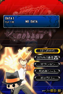 家庭教师HITMAN REBORN！DS炎之命运2命运的二人（日版）