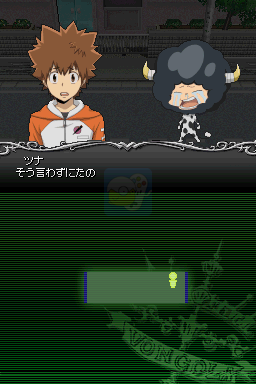 家庭教师HITMAN REBORN！DS炎之命运2命运的二人（日版）