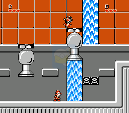 松鼠大作战（完美汉化版）