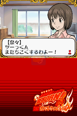 家庭教师DS 死气MAX彭格列嘉年华（日版）