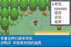 口袋妖怪 赤 特别篇（汉化版）