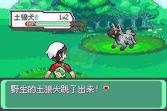 口袋妖怪 究极绿宝石3.0（中文版）