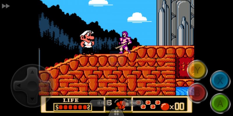 成龙之龙玛丽版（美版无敌）