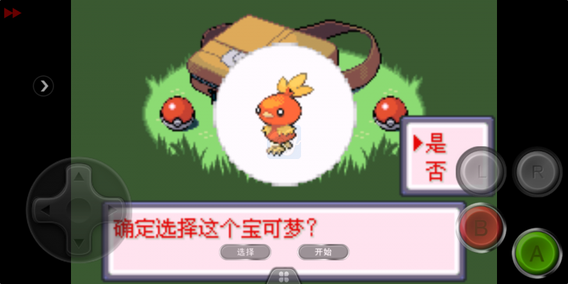 口袋妖怪 迷失夜6（中文版）