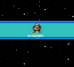 洛克人2 威利博士之谜（美版）