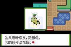 口袋妖怪 秞色（美化汉化版）