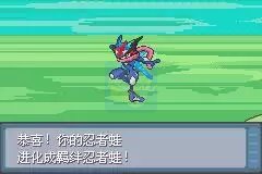 口袋妖怪 生或死（中文版）