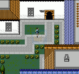 古墓丽影（中文版）