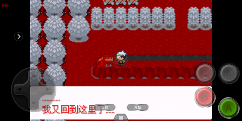 口袋妖怪 迷失夜2（中文版）