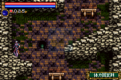 恶魔城 月之轮回X（中文版）