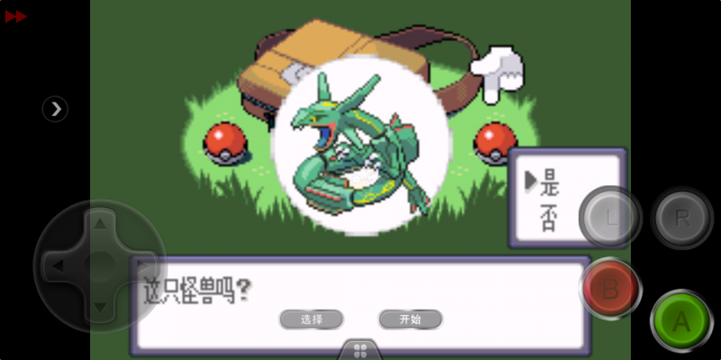 口袋妖怪 盖欧卡的暴走（汉化版）