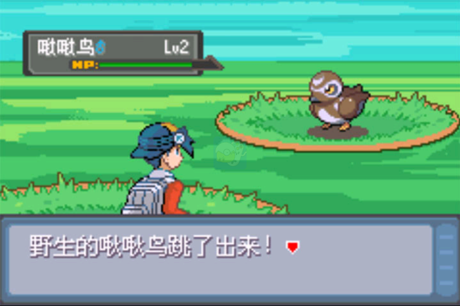 口袋妖怪 错乱的时空（中文版）