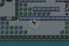 口袋妖怪最强进化V2.5准神（中文版）