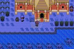 口袋妖怪最强进化V2.5准神（中文版）