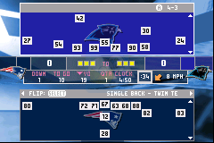 口袋妖怪 燃烧红宝石（汉化版）