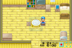 牧场物语矿石镇魔女版