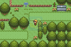 口袋妖怪 秞色（美化汉化版）