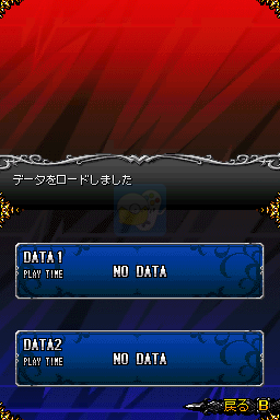 家庭教师HITMAN REBORN！DS炎之命运2命运的二人（日版）