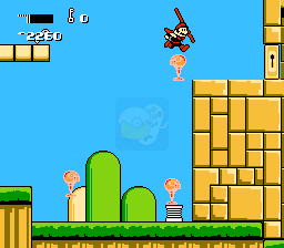 超级马里奥14（美版）