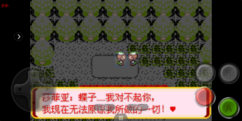 口袋妖怪 迷失夜6（中文版）