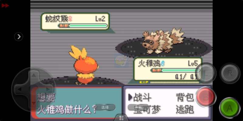 口袋妖怪 迷失夜6（中文版）