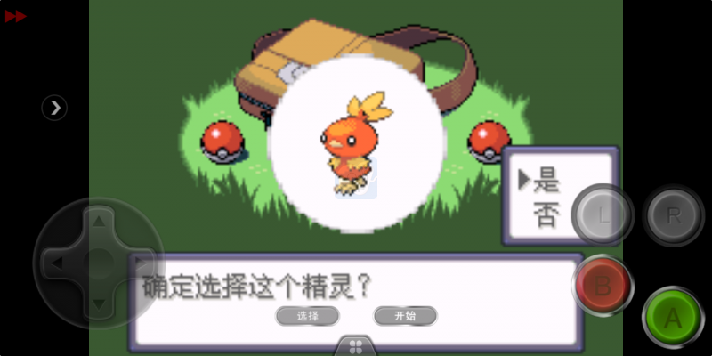 口袋妖怪 忆梦之巅灭世章（中文版）