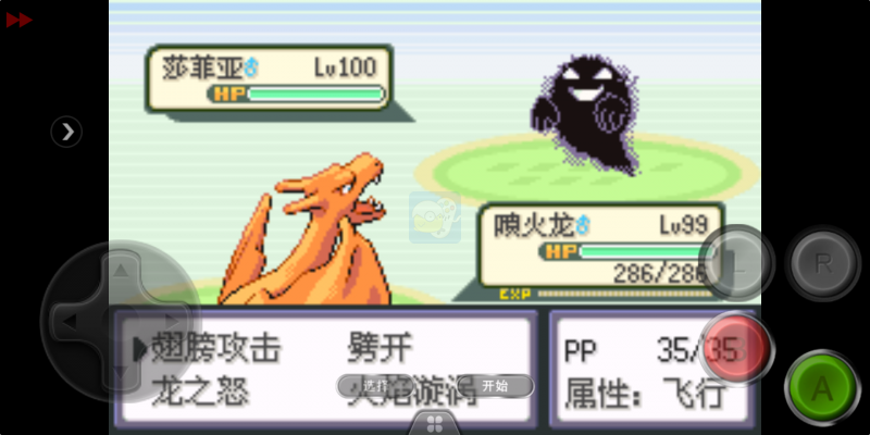 口袋妖怪 迷失夜3（中文版）