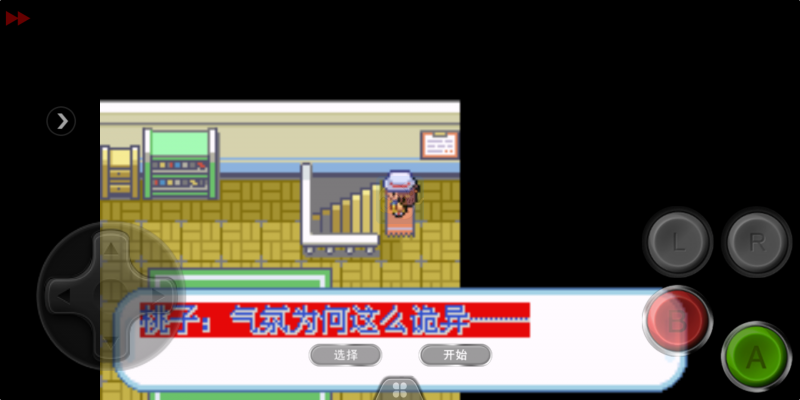 口袋妖怪 迷失夜3（中文版）