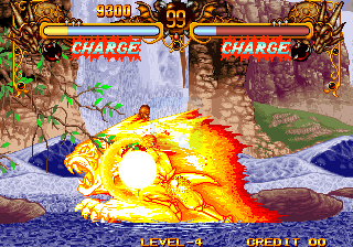 双截龙格斗 出招简化（美版）