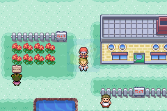 口袋妖怪 火红802 hack (完整汉化版)