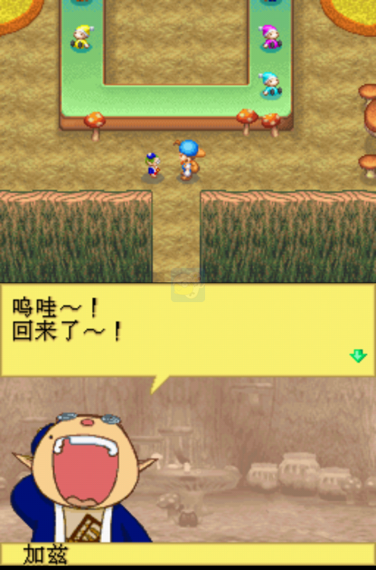 牧场物语 精灵驿站（汉化版）