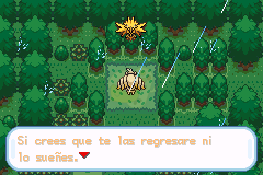 口袋妖怪mystery9（美版）