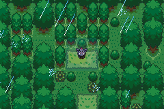 口袋妖怪mystery9（美版）