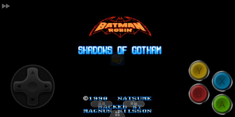 赤影战士之蝙蝠侠和罗宾（美版）