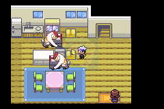 口袋妖怪 漆黑的魅影5.0EX+DP（中文版）