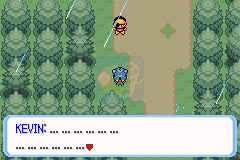 口袋妖怪命运红宝石3 生命守护者（美版）