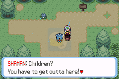 口袋妖怪命运红宝石3 生命守护者（美版）