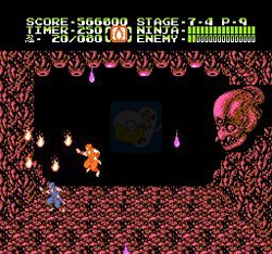 忍者龙剑传（中文版）