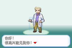 口袋妖怪 圣光白（中文版）