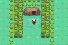 口袋妖怪 罪恶世界3.4版（汉化版）