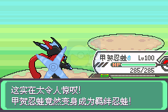 口袋妖怪 究极绿宝石（中文版）