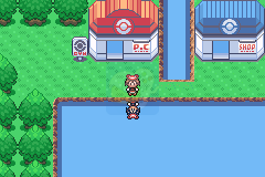 口袋妖怪 冰龙的愤怒（中文版）