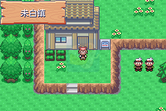 口袋妖怪 冰龙的愤怒（中文版）