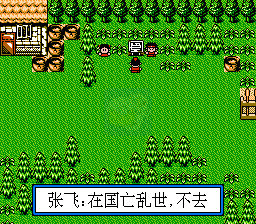 三国志之傲视天地（中文版）