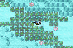 口袋妖怪 数码宝贝hack（中文版）