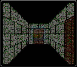 洛克人5 神的世界4（美版）